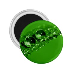 Green Drops 2 25  Button Magnet