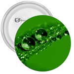 Green Drops 3  Button Front