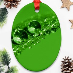 Green Drops Oval Ornament by Siebenhuehner