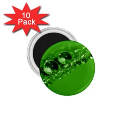 Green Drops 1 75  Button Magnet (10 Pack) by Siebenhuehner