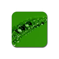 Green Drops Drink Coaster (square) by Siebenhuehner