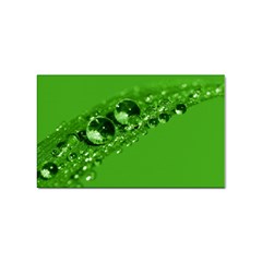 Green Drops Sticker (Rectangle)