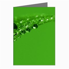 Green Drops Greeting Card (8 Pack) by Siebenhuehner