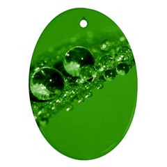 Green Drops Oval Ornament (two Sides) by Siebenhuehner