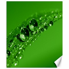 Green Drops Canvas 8  X 10  (unframed) by Siebenhuehner