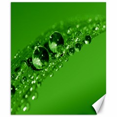 Green Drops Canvas 20  X 24  (unframed) by Siebenhuehner