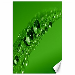 Green Drops Canvas 20  X 30  (unframed) by Siebenhuehner