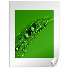 Green Drops Canvas 36  X 48  (unframed) by Siebenhuehner