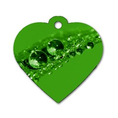 Green Drops Dog Tag Heart (one Sided)  by Siebenhuehner