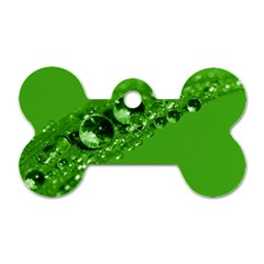 Green Drops Dog Tag Bone (one Sided)