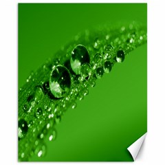 Green Drops Canvas 11  X 14  (unframed) by Siebenhuehner