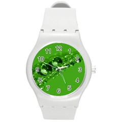 Green Drops Plastic Sport Watch (medium)