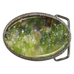 Drops Belt Buckle (Oval)