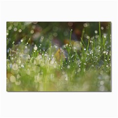 Drops Postcards 5  X 7  (10 Pack) by Siebenhuehner