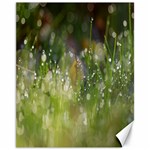 Drops Canvas 11  x 14  (Unframed) 10.95 x13.48  Canvas - 1