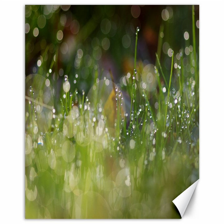 Drops Canvas 11  x 14  (Unframed)