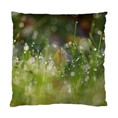 Drops Cushion Case (single Sided)  by Siebenhuehner