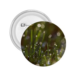 Waterdrops 2 25  Button