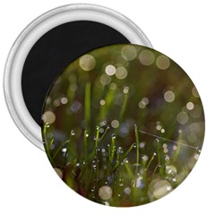 Waterdrops 3  Button Magnet