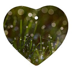 Waterdrops Heart Ornament