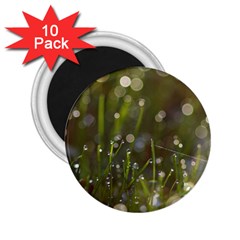 Waterdrops 2 25  Button Magnet (10 Pack) by Siebenhuehner