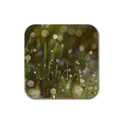 Waterdrops Drink Coasters 4 Pack (square) by Siebenhuehner