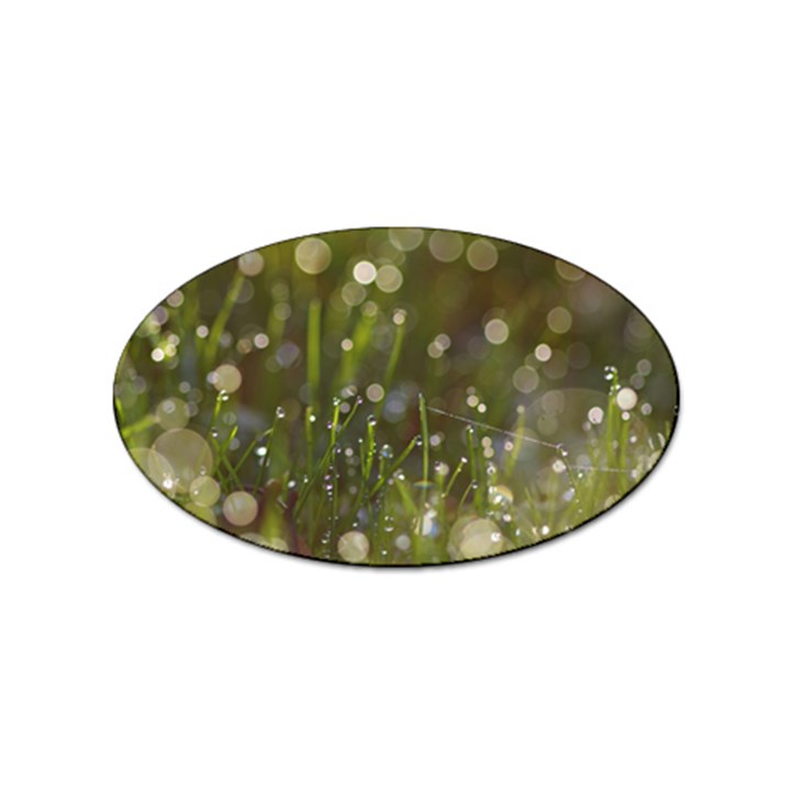 Waterdrops Sticker (Oval)