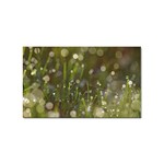 Waterdrops Sticker 100 Pack (Rectangle) Front