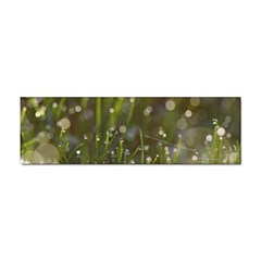 Waterdrops Bumper Sticker 100 Pack by Siebenhuehner