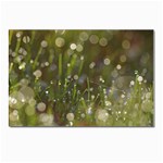 Waterdrops Postcards 5  x 7  (10 Pack) Front