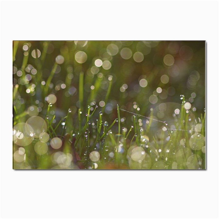 Waterdrops Postcards 5  x 7  (10 Pack)