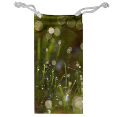 Waterdrops Jewelry Bag