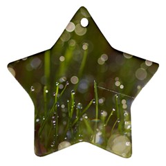 Waterdrops Star Ornament (two Sides) by Siebenhuehner