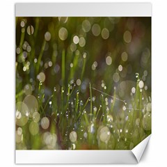 Waterdrops Canvas 20  X 24  (unframed)