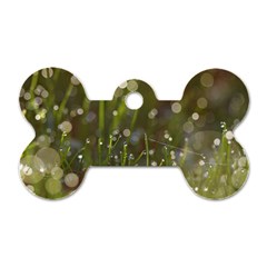 Waterdrops Dog Tag Bone (one Sided)