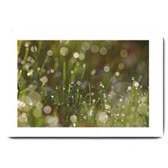 Waterdrops Large Door Mat by Siebenhuehner