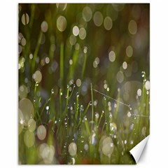 Waterdrops Canvas 11  X 14  (unframed)