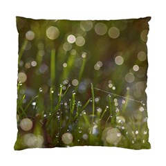 Waterdrops Cushion Case (two Sided)  by Siebenhuehner