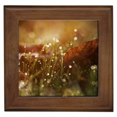 Waterdrops Framed Ceramic Tile by Siebenhuehner