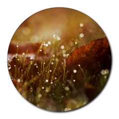 Waterdrops 8  Mouse Pad (round)