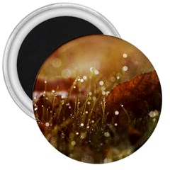 Waterdrops 3  Button Magnet by Siebenhuehner