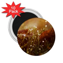 Waterdrops 2 25  Button Magnet (10 Pack) by Siebenhuehner