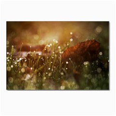 Waterdrops Postcard 4 x 6  (10 Pack) by Siebenhuehner