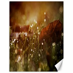 Waterdrops Canvas 12  X 16  (unframed)