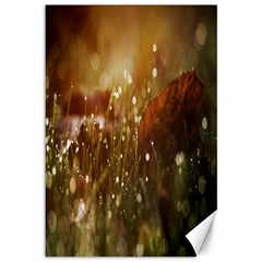 Waterdrops Canvas 12  X 18  (unframed)