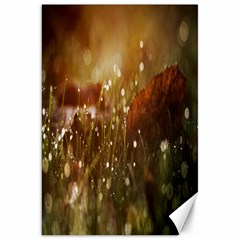 Waterdrops Canvas 20  X 30  (unframed) by Siebenhuehner