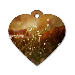 Waterdrops Dog Tag Heart (two Sided)