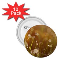 Waterdrops 1 75  Button (10 Pack)