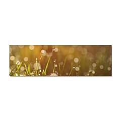 Waterdrops Bumper Sticker