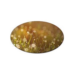 Waterdrops Sticker 100 Pack (oval) by Siebenhuehner